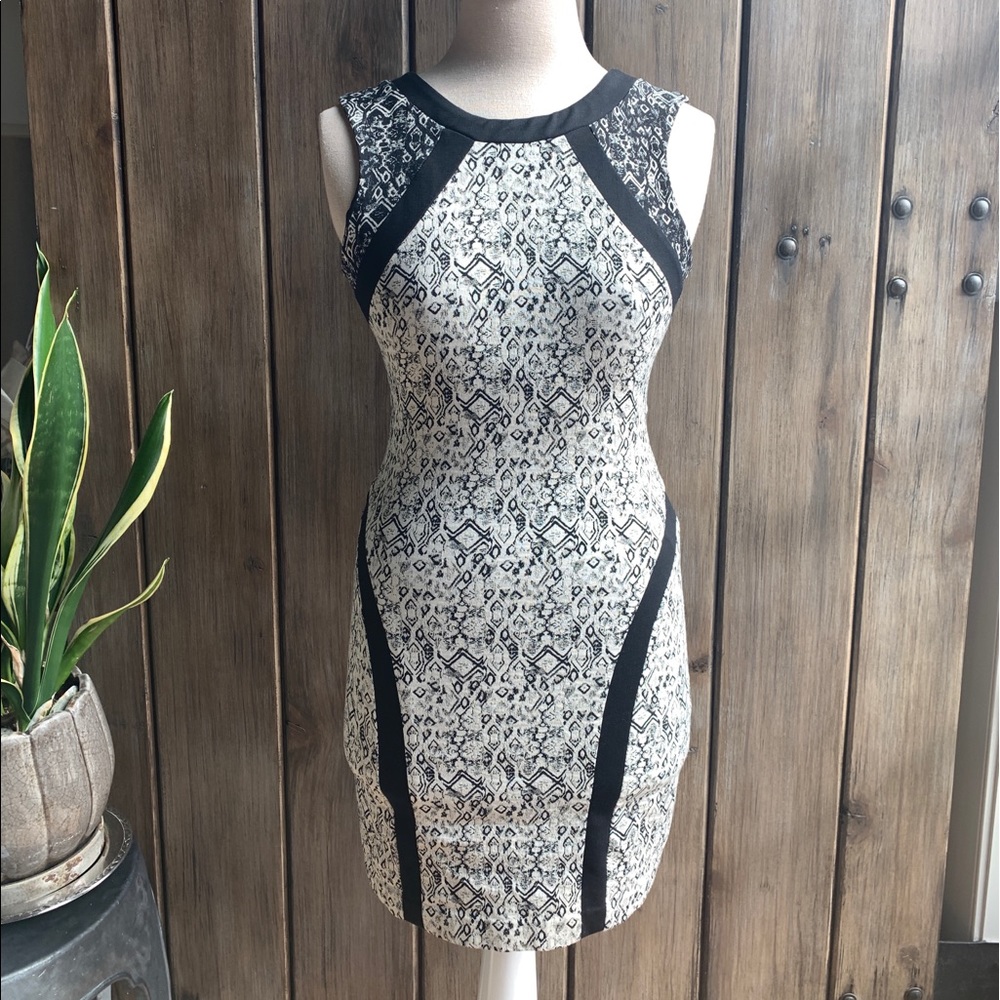 Parker Jaggar • sleeveless sheath Dress - Picture 4 of 14